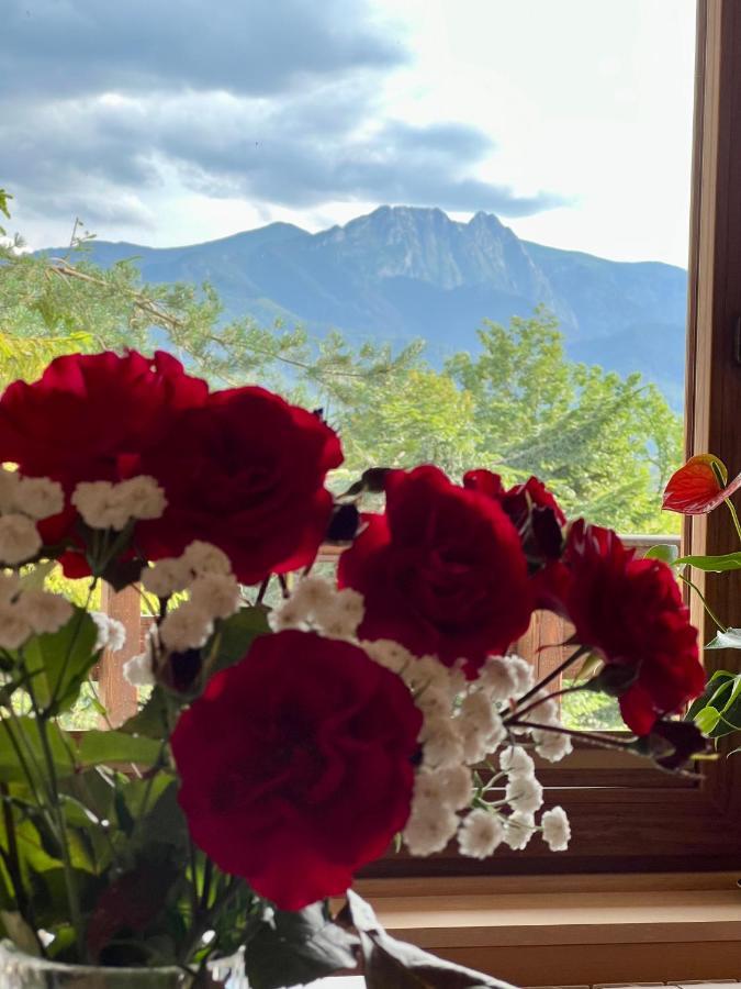 Domek Olczyski Zakopane Exteriér fotografie